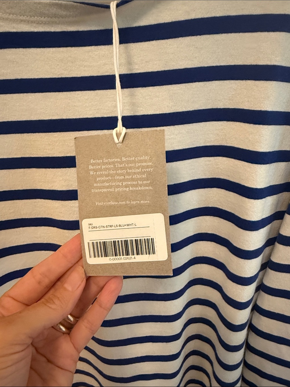 Everlane Organic Cotton Navy and White Stripe Bateau A-Line Dress - Picture 3 of 6